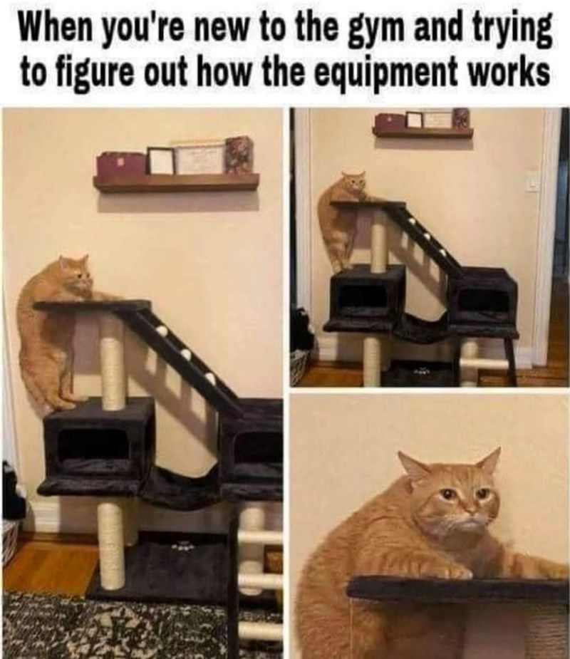 new-gym-and-trying-figure-out-equipment-works