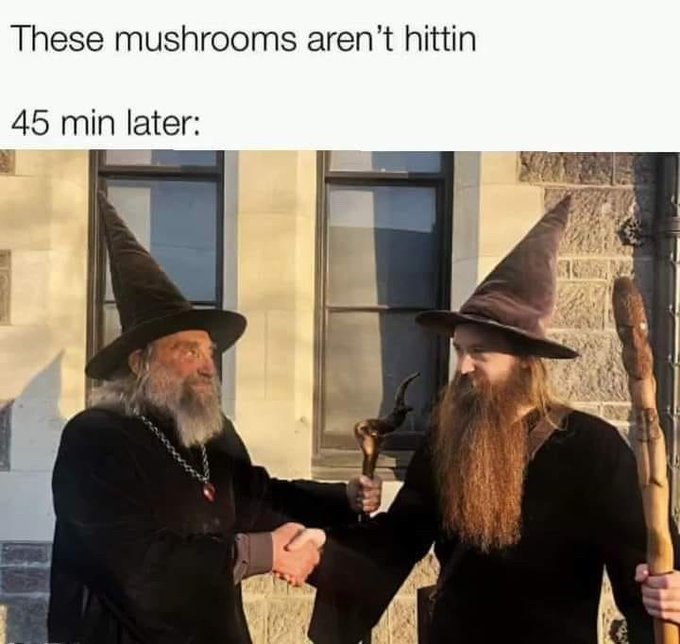 these-mushrooms-arent-hittin-45-min-later