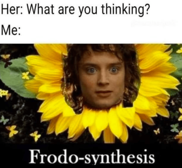 her-are-thinking-frodo-synthesis