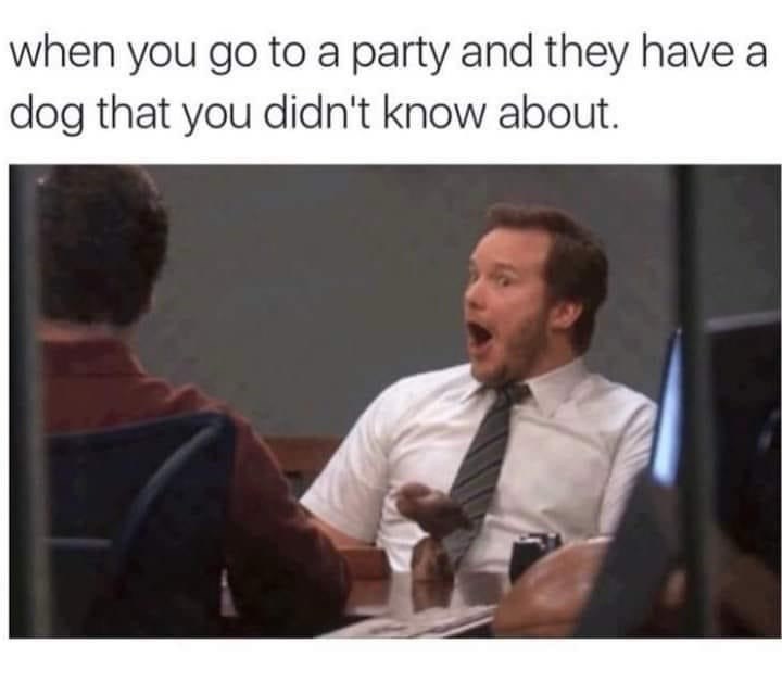 go-party-and-they-have-dog-didnt-know-about