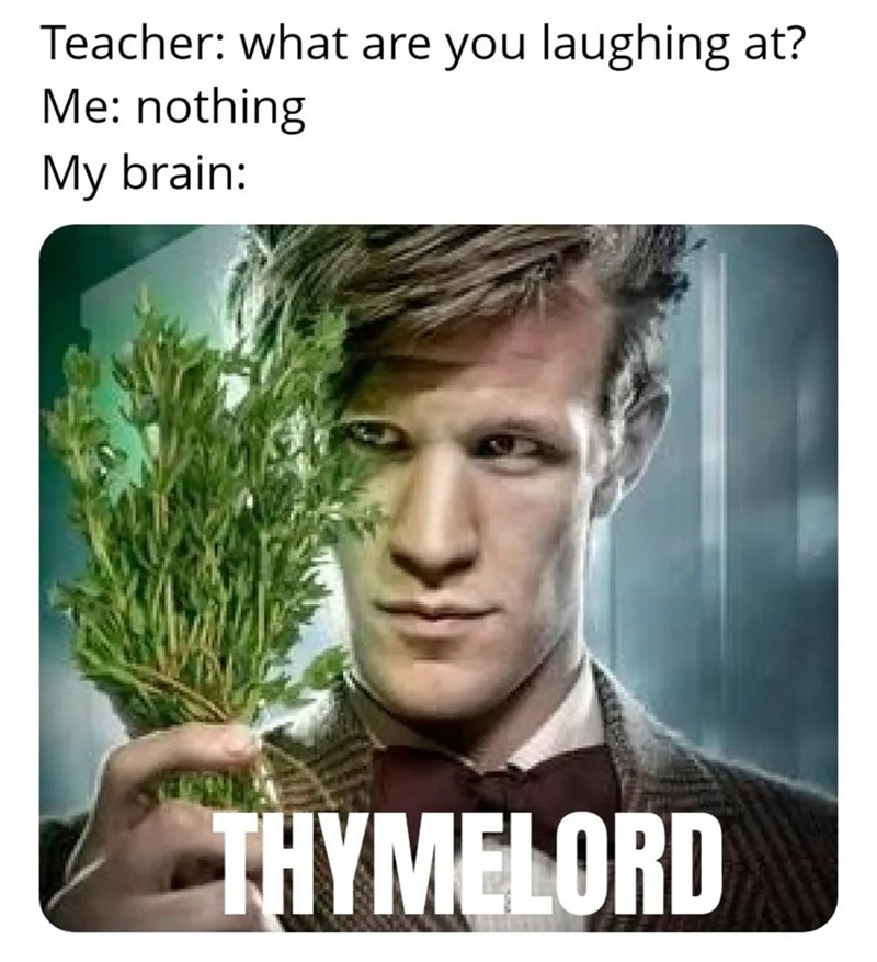 teacher-are-laughing-at-nothing-my-brain-thymelord