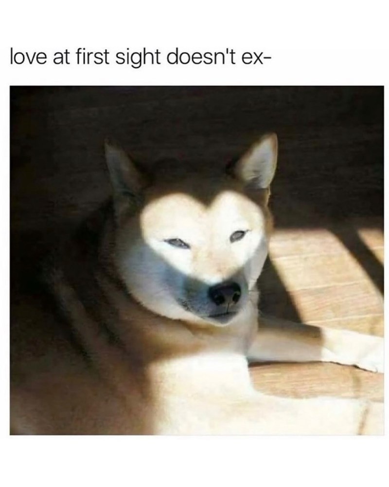 love-at-first-sight-doesnt-ex