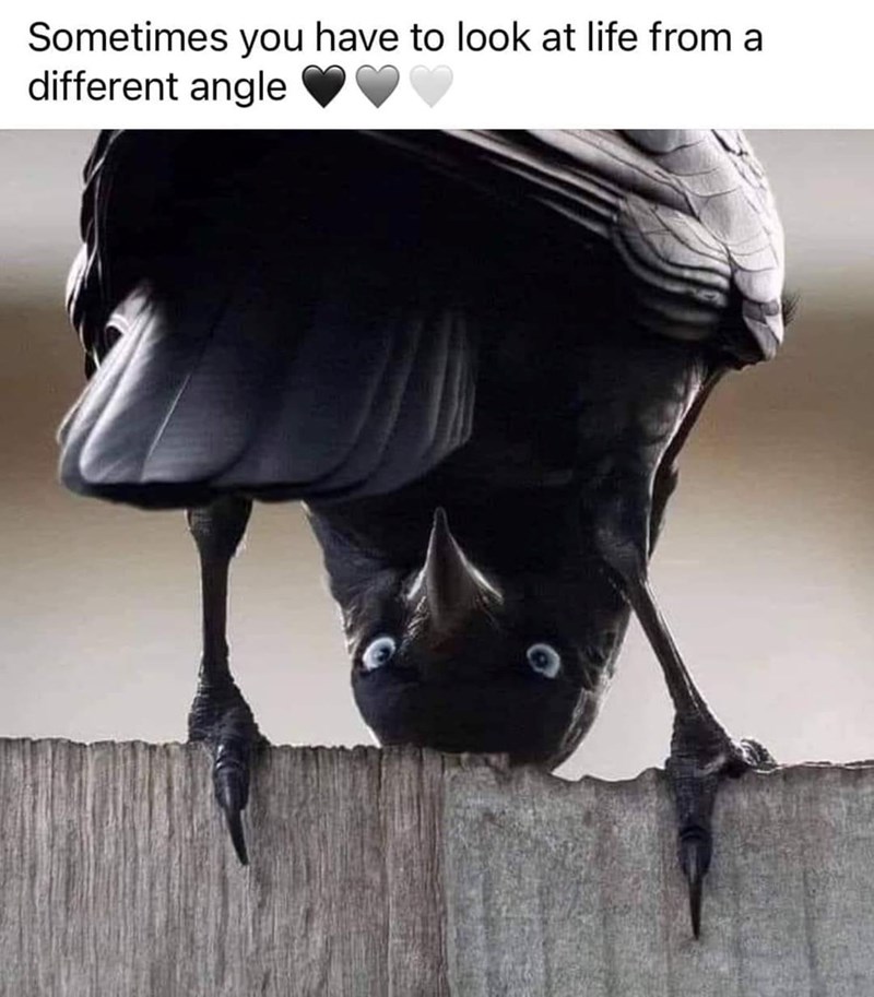 sometimes-have-look-at-life-different-angle