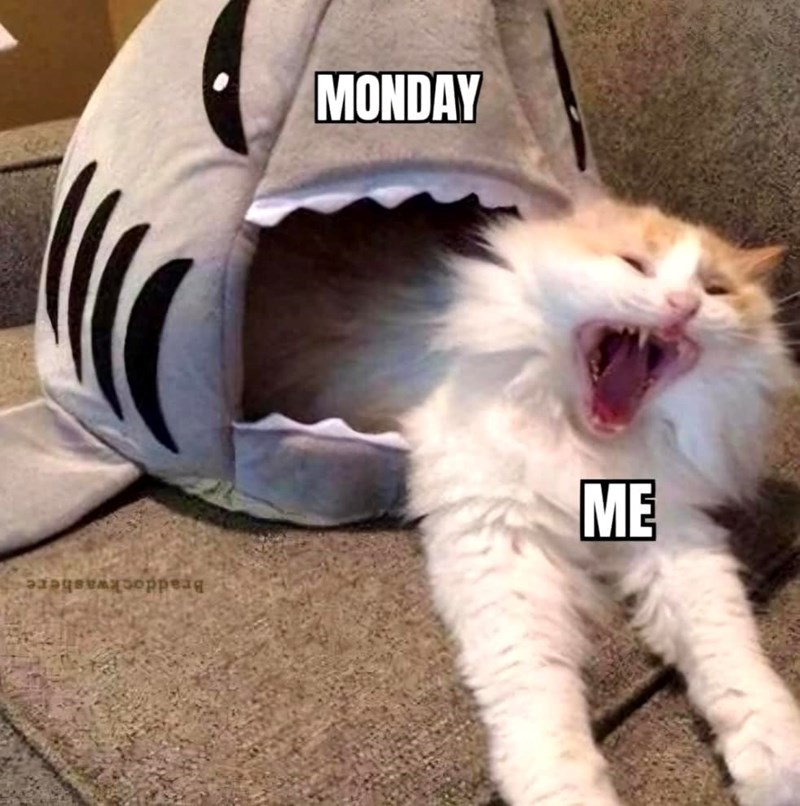 braddockwashere-monday