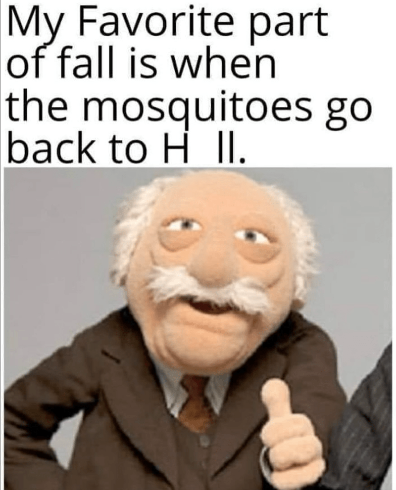 my-favorite-part-fall-is-mosquitoes-go-back-h-ii