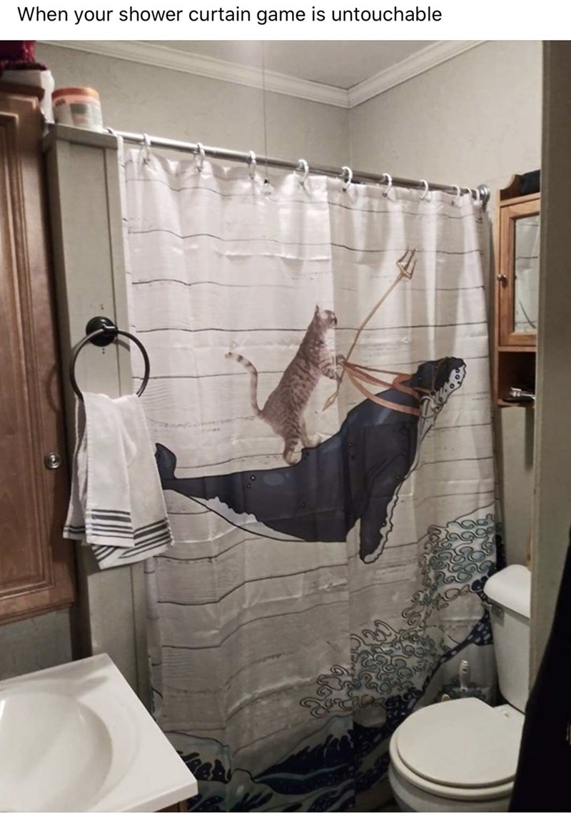 shower-curtain-game-is-untouchable