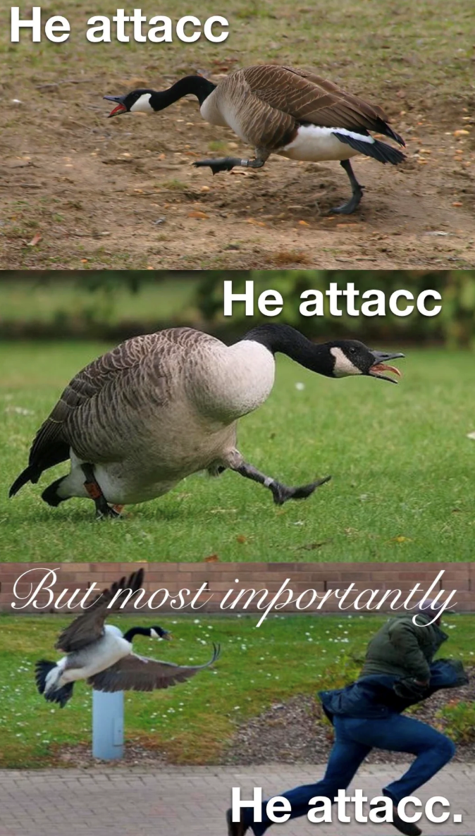 he-attacc-he-attacc-but-most-importantly-he-attacc