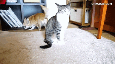 must-not-cross-the-boundary