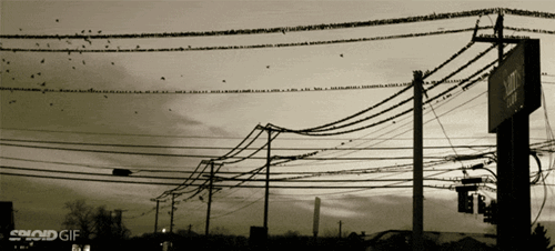 funny-animated-gifs-for-the-horde