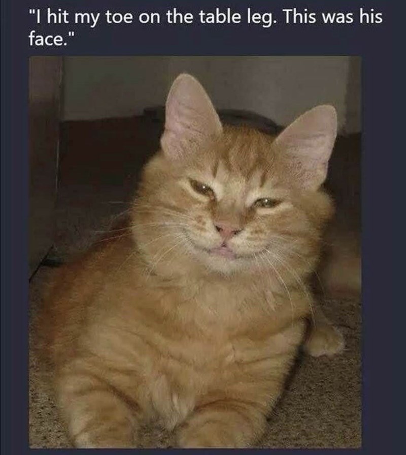 hit-my-toe-on-table-leg-this-his-face