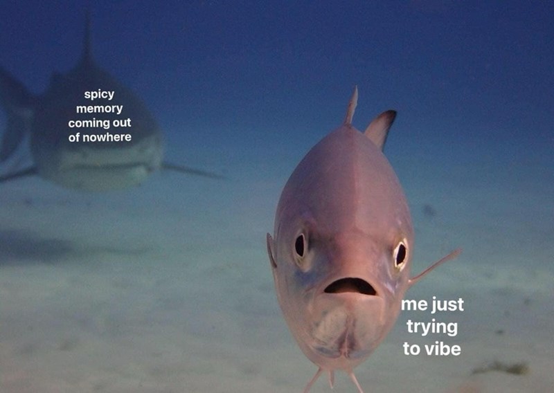 spicy-memory-coming-out-nowhere-just-trying-vibe