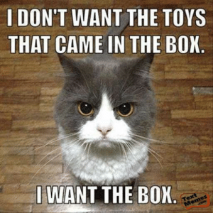 thumb_dont-want-the-toys-that-came-in-the-bok-iwant-49250921.png