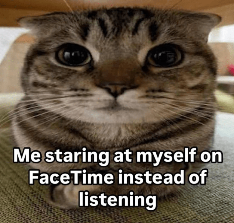 staring-at-myself-on-facetime-instead-listening