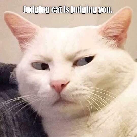 judging