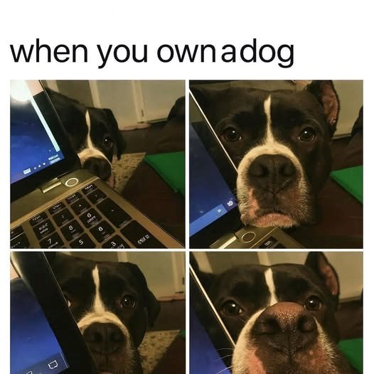 ownadog-wat-7-g-d-5-8