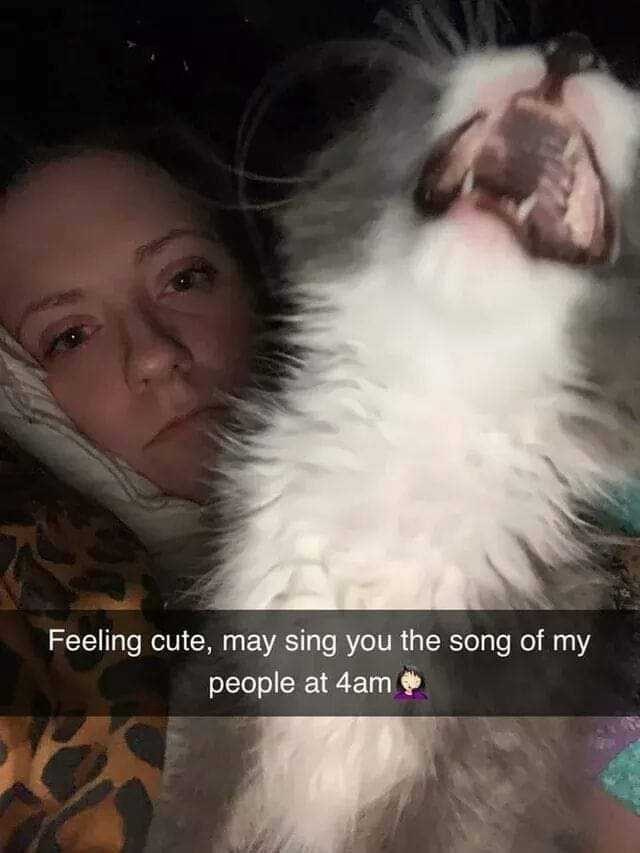 feeling-cute-may-sing-song-my-people-at-4am