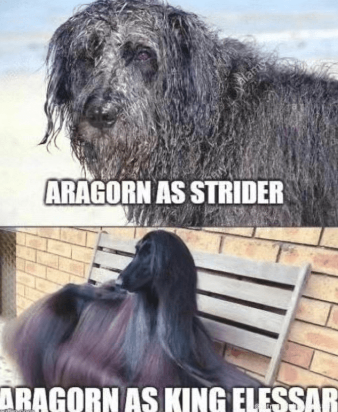 alamy-aragorn-as-strider-dragorn-as-king-elessar