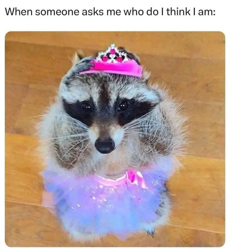 someone-asks-who-do-think-am