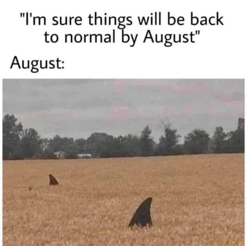 sure-things-will-be-back-normal-by-august-august