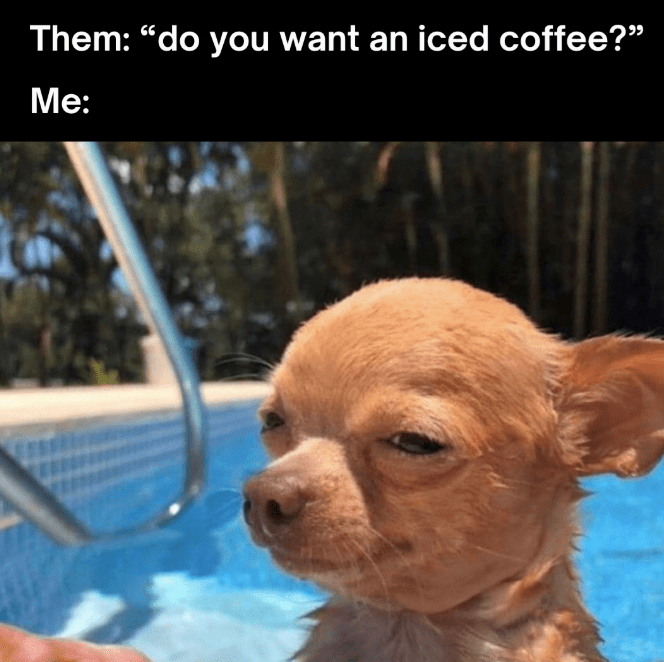 them-do-want-an-iced-coffee