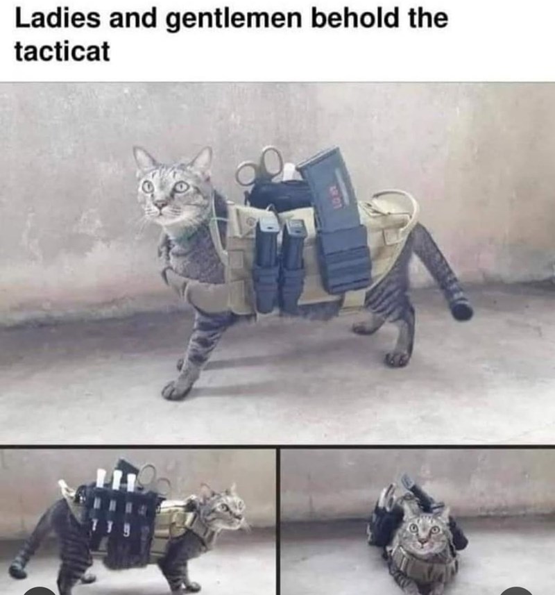 ladies-and-gentlemen-behold-tacticat