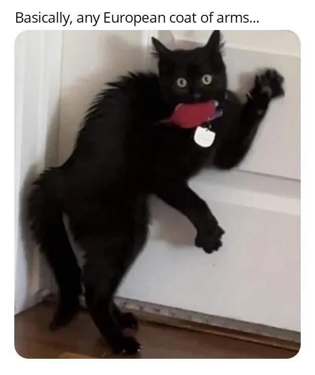 basically-any-european-coat-arms-0