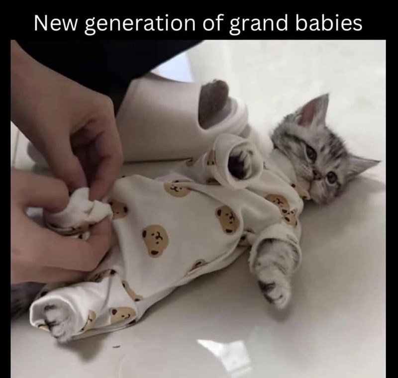 new-generation-grand-babies