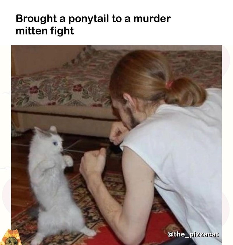 brought-ponytail-murder-mitten-fight-the_pizzacat