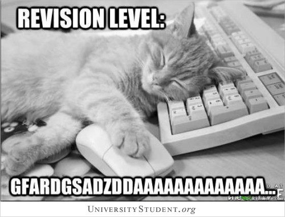 revision-level-cat-meme.jpg