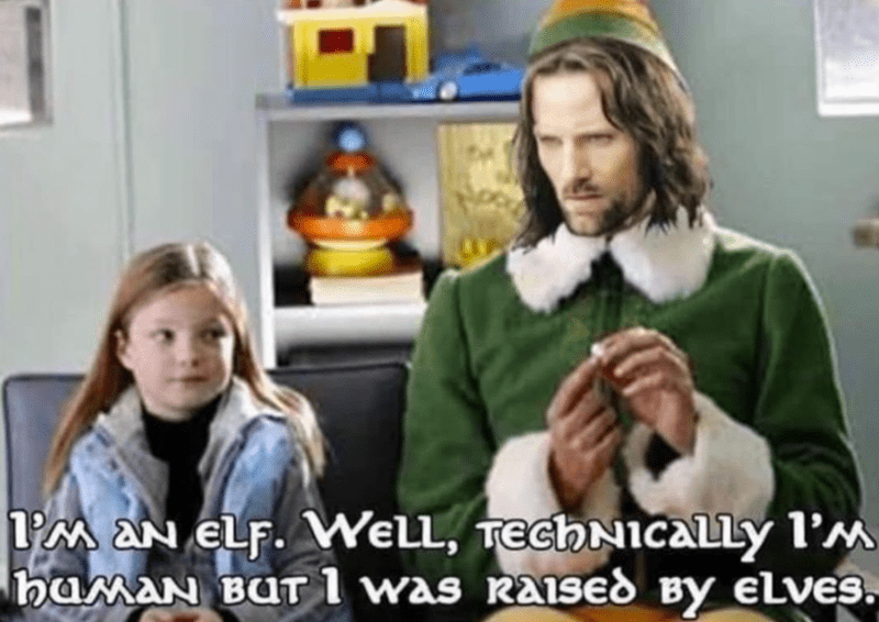 an-elf-well-technically-human-but-raised-b-elves