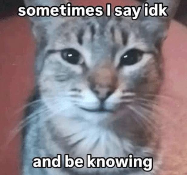 sometimes-say-idk-and-be-knowing