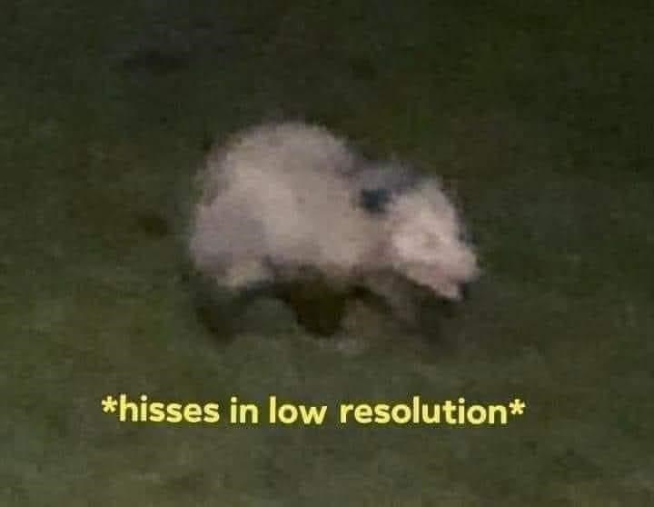 hisses-low-resolution