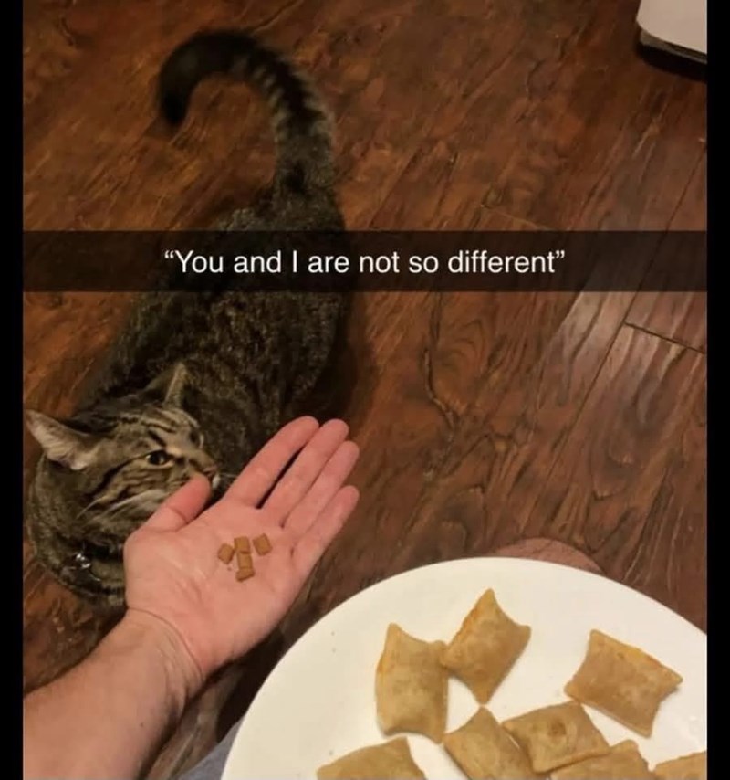 and-are-not-so-different-go