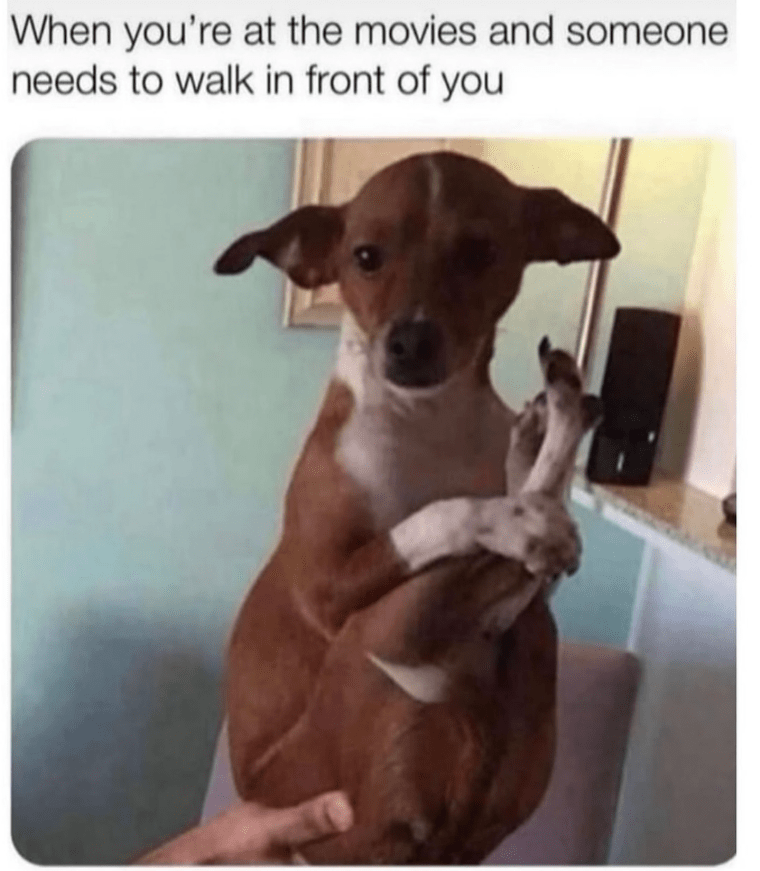 at-movies-and-someone-needs-walk-front