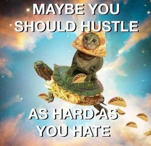 maybe-should-hustle-pirzacal-as-hard-as-hate
