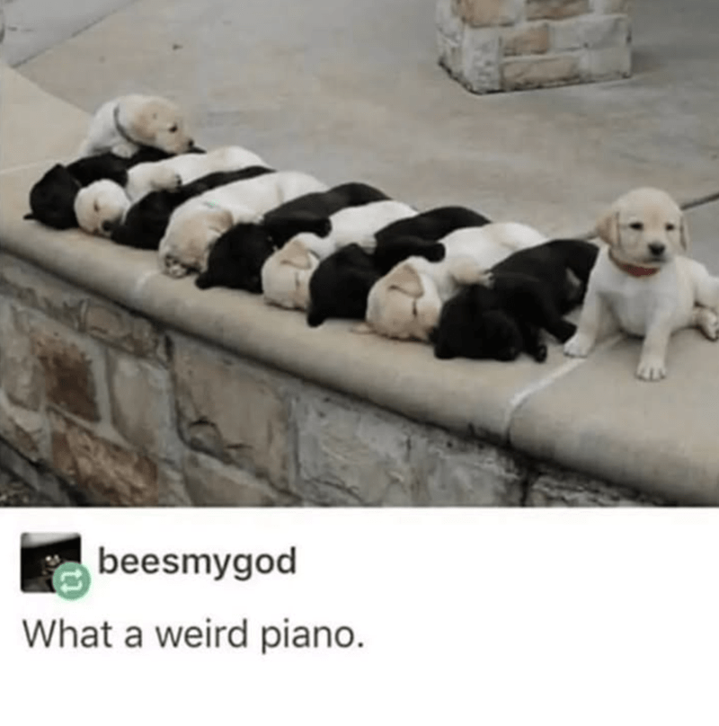 beesmygod-weird-piano