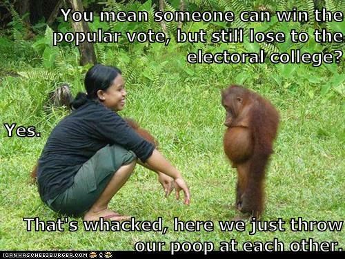 the-system-makes-no-sense-but-we-celebrate-it-anyway