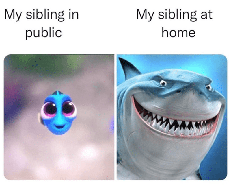 my-sibling-public-my-sibling-at-home