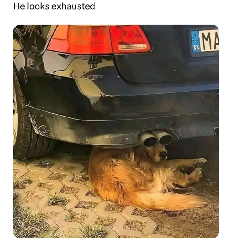 he-looks-exhausted-sk-ma