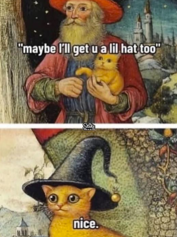 maybe-get-u-lil-hat-too-stake-nice