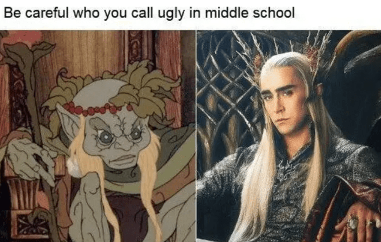 be-careful-who-call-ugly-middle-school