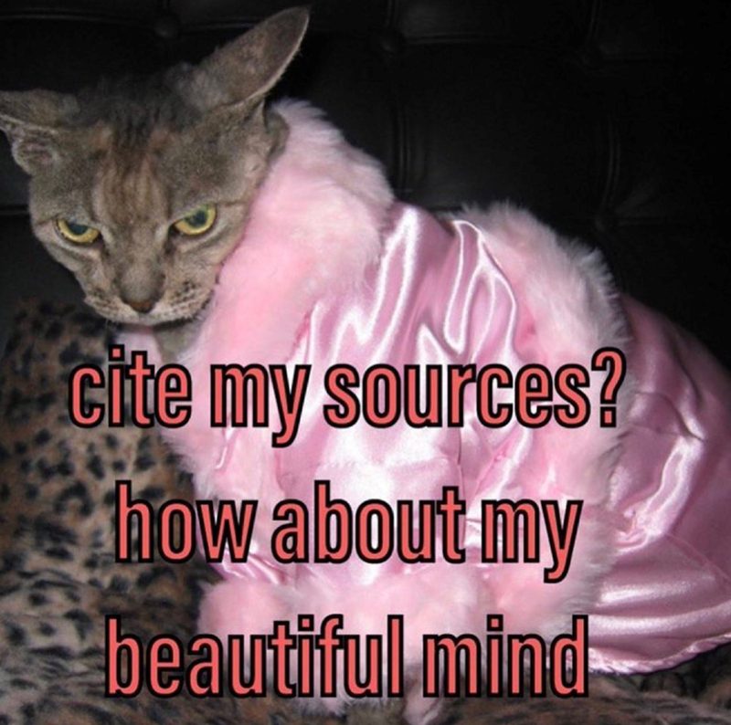cite-my-sources-about-my-beautiful-mind