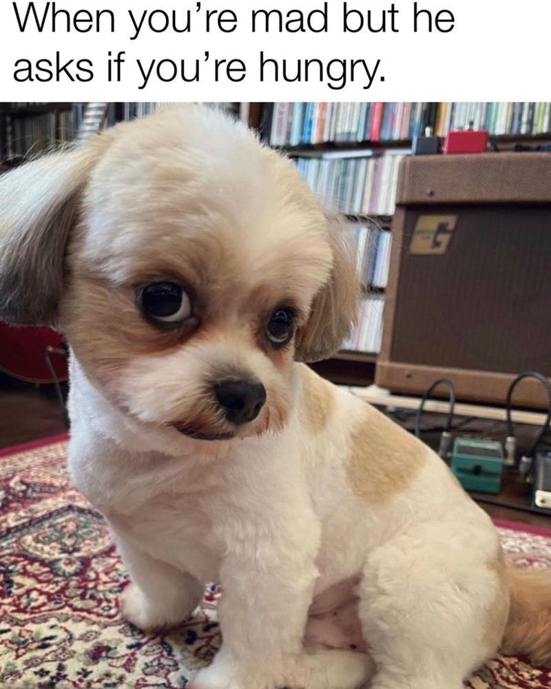 mad-but-he-asks-if-hungry