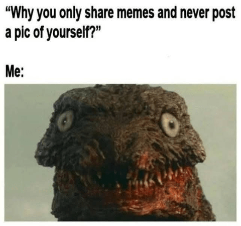 why-only-share-memes-and-never-post-pic-yourself