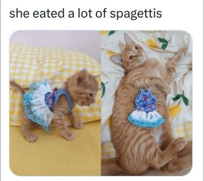 she-eated-lot-spagettis