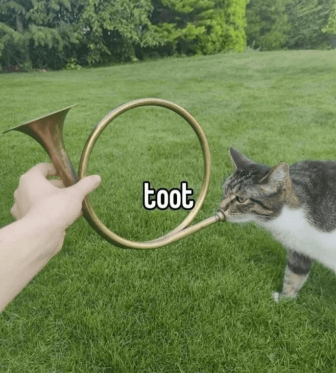 toot
