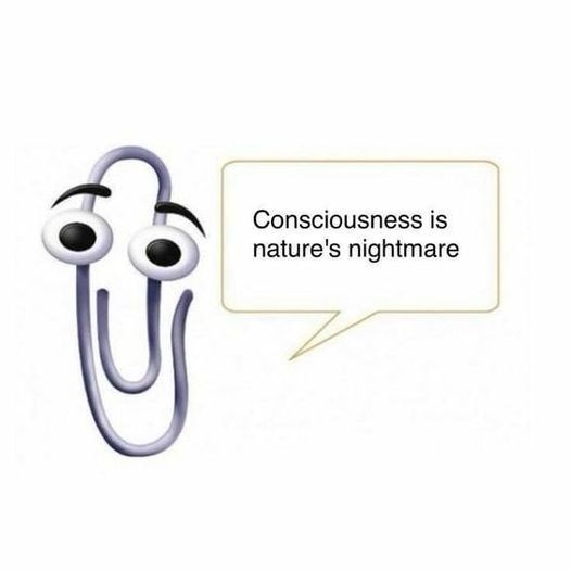 c-consciousness-is-natures-nightmare