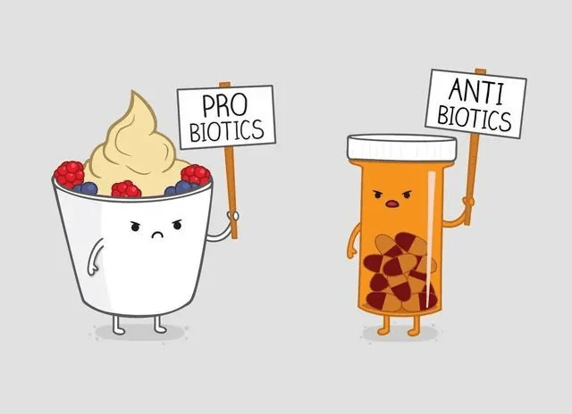 pro-biotics-anti-biotics