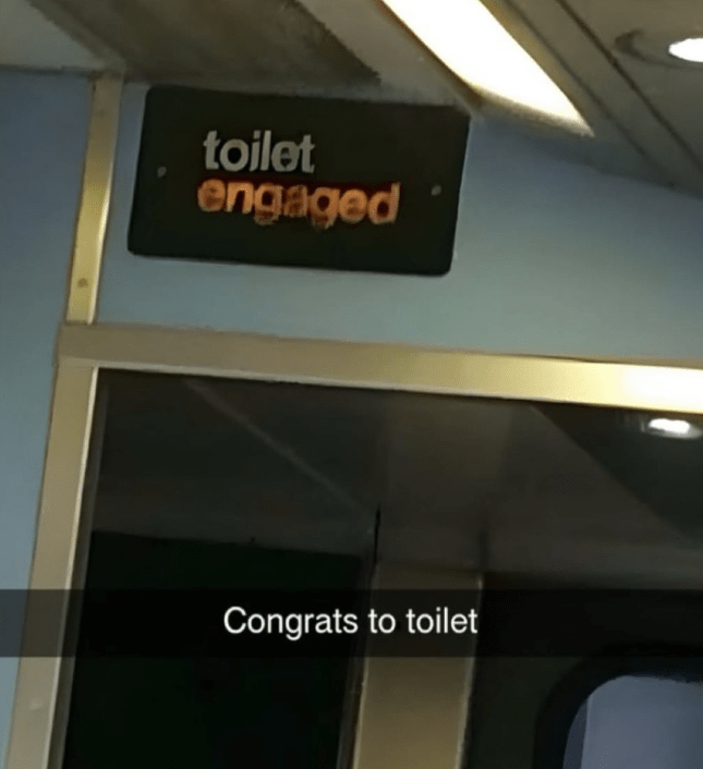 toilet-engaged-congrats-toilet