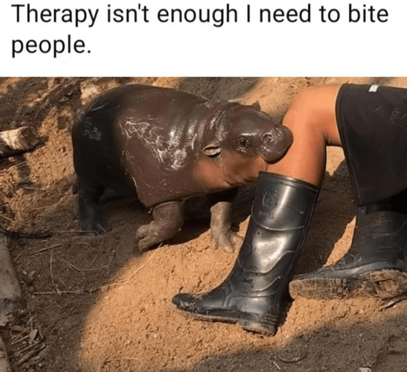 therapy-isnt-enough-need-bite-people